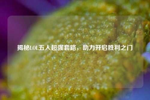 揭秘LOL五人超强套路,助力开启胜利之门