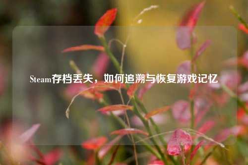 Steam存档丢失,如何追溯与恢复游戏记忆