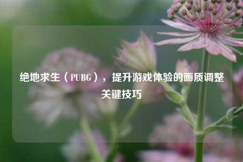 绝地求生(PUBG),提升游戏体验的画质调整关键技巧