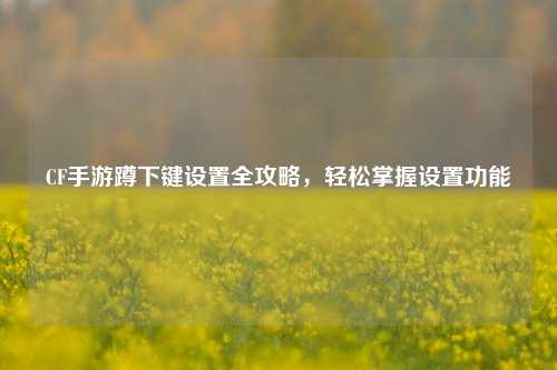 CF手游蹲下键设置全攻略,轻松掌握设置功能