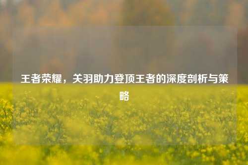 王者荣耀,关羽助力登顶王者的深度剖析与策略