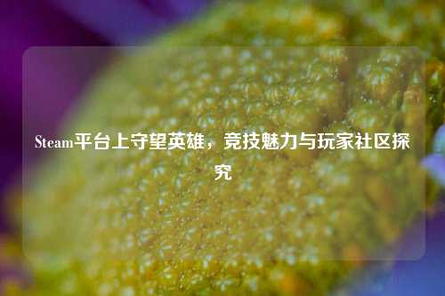 Steam平台上守望英雄,竞技魅力与玩家社区探究
