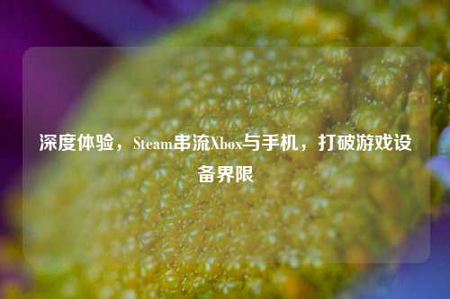深度体验,Steam串流Xbox与手机,打破游戏设备界限