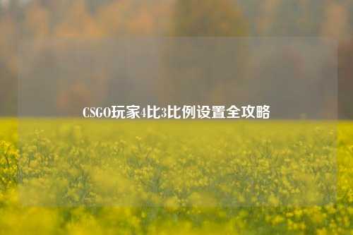 CSGO玩家4比3比例设置全攻略