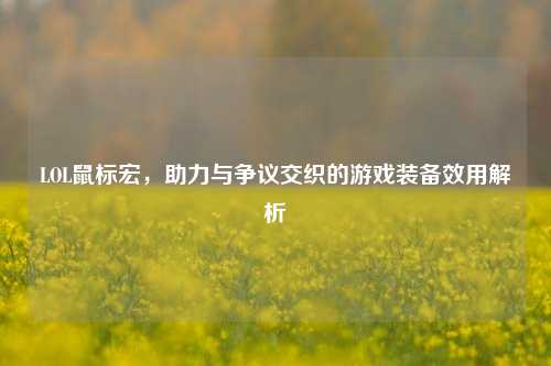 LOL鼠标宏，助力与争议交织的游戏装备效用解析