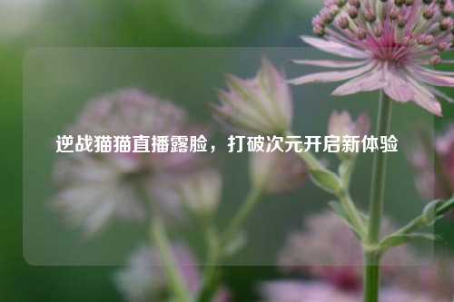 逆战猫猫直播露脸,打破次元开启新体验