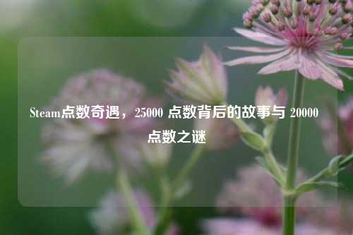 Steam点数奇遇，25000 点数背后的故事与 20000 点数之谜