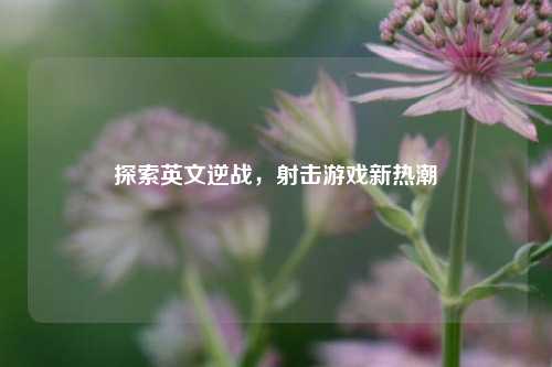探索英文逆战,射击游戏新热潮