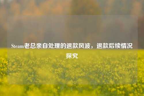 Steam老总亲自处理的退款风波,退款后续情况探究