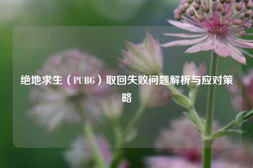 绝地求生(PUBG)取回失败问题解析与应对策略