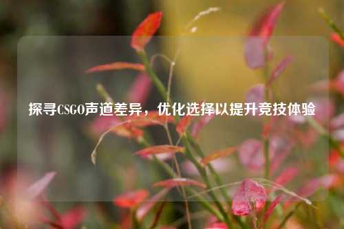 探寻CSGO声道差异,优化选择以提升竞技体验