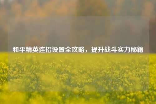 和平精英连招设置全攻略，提升战斗实力秘籍