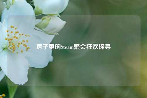 房子里的Steam聚会狂欢探寻