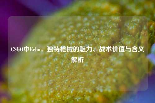 CSGO中Echo,独特枪械的魅力、战术价值与含义解析