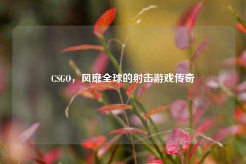 CSGO，风靡全球的射击游戏传奇