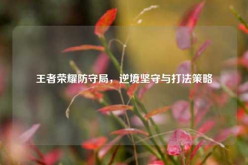 王者荣耀防守局,逆境坚守与打法策略