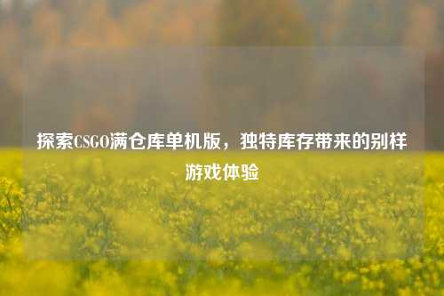 探索CSGO满仓库单机版，独特库存带来的别样游戏体验