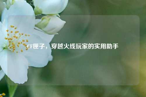 CF匣子，穿越火线玩家的实用助手