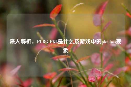 深入解析,PUBG PKL是什么及游戏中的pkt loss现象