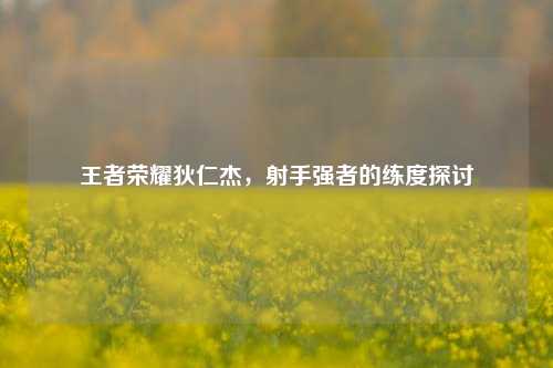 王者荣耀狄仁杰，射手强者的练度探讨