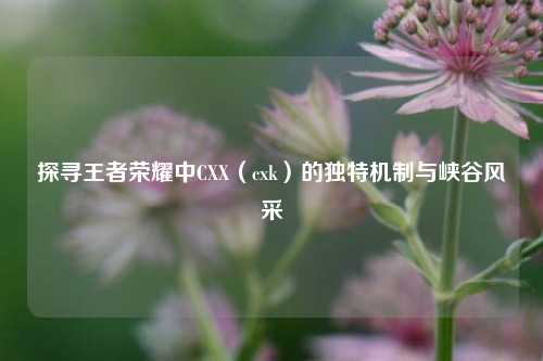 探寻王者荣耀中CXX(cxk)的独特机制与峡谷风采