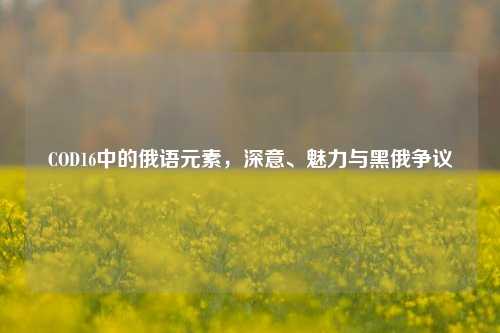 COD16中的俄语元素,深意、魅力与黑俄争议