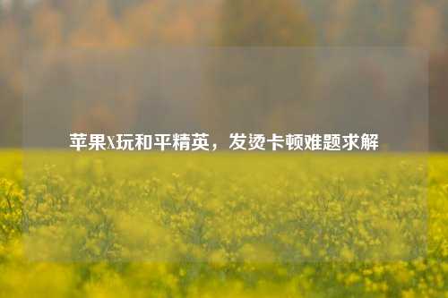 苹果X玩和平精英,发烫卡顿难题求解
