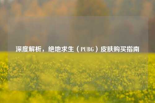 深度解析,绝地求生(PUBG)皮肤购买指南