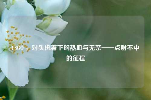 CSGO ,对头执着下的热血与无奈——点射不中的征程