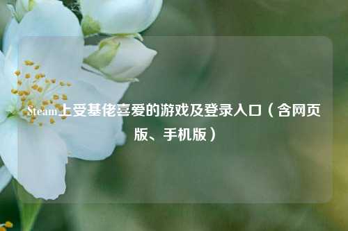 Steam上受基佬喜爱的游戏及登录入口(含网页版、手机版)