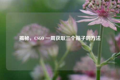 揭秘,CSGO 一周获取三个箱子的方法