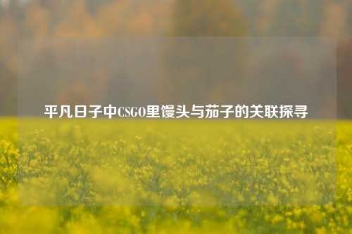 平凡日子中CSGO里馒头与茄子的关联探寻