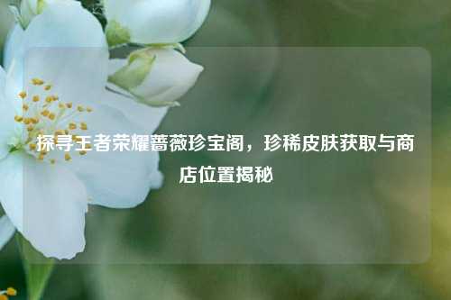 探寻王者荣耀蔷薇珍宝阁,珍稀皮肤获取与商店位置揭秘