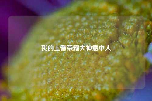 我的王者荣耀大神意中人