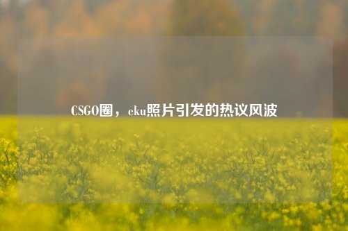 CSGO圈,eku照片引发的热议风波