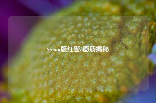 Steam版红警3画质揭秘