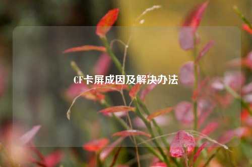 CF卡屏成因及解决办法