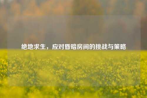 绝地求生,应对昏暗房间的挑战与策略