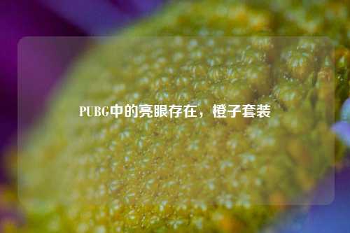 PUBG中的亮眼存在，橙子套装