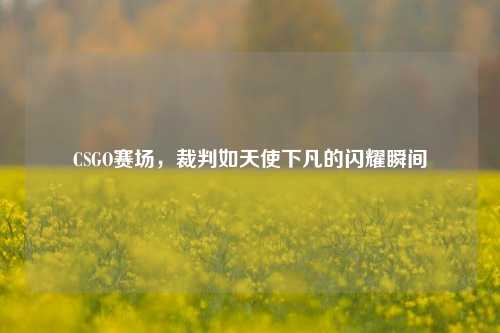 CSGO赛场,裁判如天使下凡的闪耀瞬间