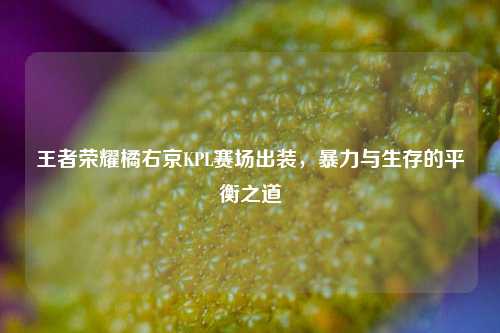 王者荣耀橘右京KPL赛场出装，暴力与生存的平衡之道
