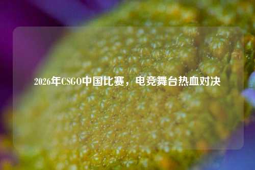 2026年CSGO中国比赛，电竞舞台热血对决