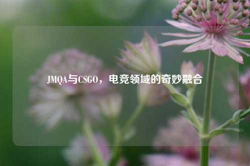JMQA与CSGO,电竞领域的奇妙融合
