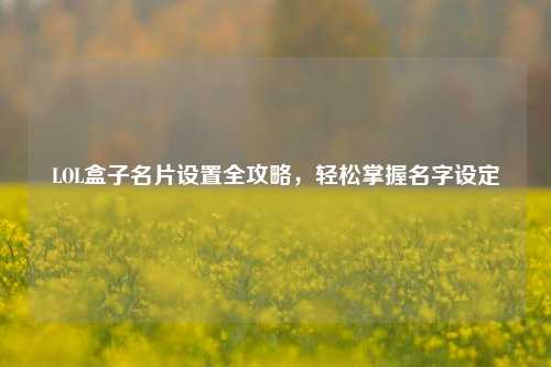 LOL盒子名片设置全攻略，轻松掌握名字设定