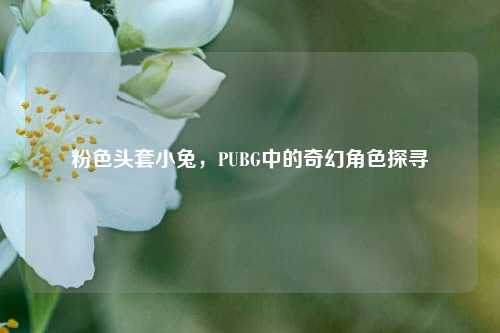 粉色头套小兔,PUBG中的奇幻角色探寻