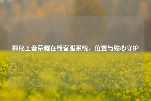 探秘王者荣耀在线客服系统,位置与贴心守护