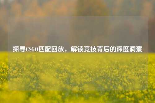 探寻CSGO匹配回放,解锁竞技背后的深度洞察
