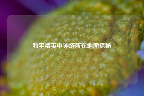 和平精英中钟塔所在地图探秘