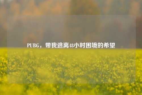 PUBG，带我逃离48小时困境的希望