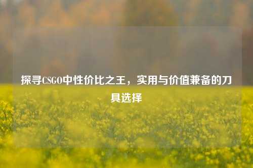 探寻CSGO中性价比之王,实用与价值兼备的刀具选择